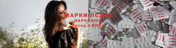 спиды Алексеевка